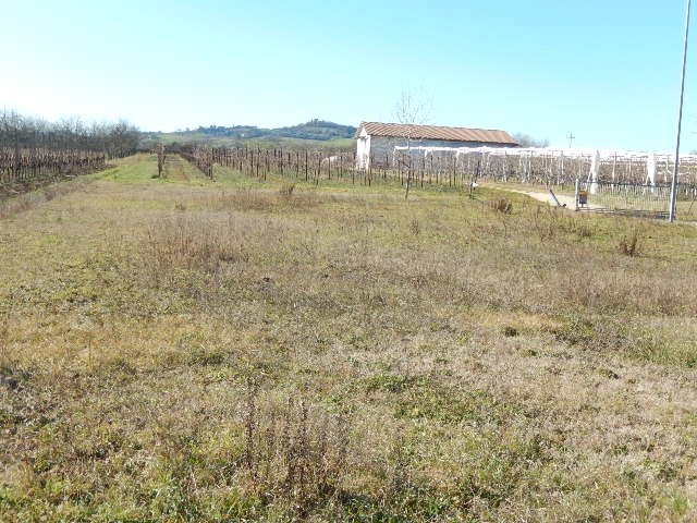 Terreno edificabile Forlì - foto 3