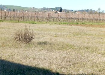 Terreno edificabile Forlì - foto 2