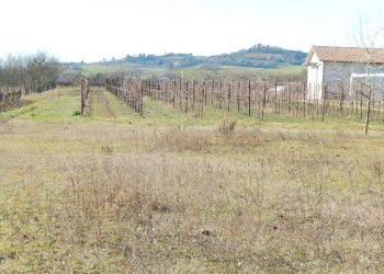 Terreno edificabile Forlì - foto 8