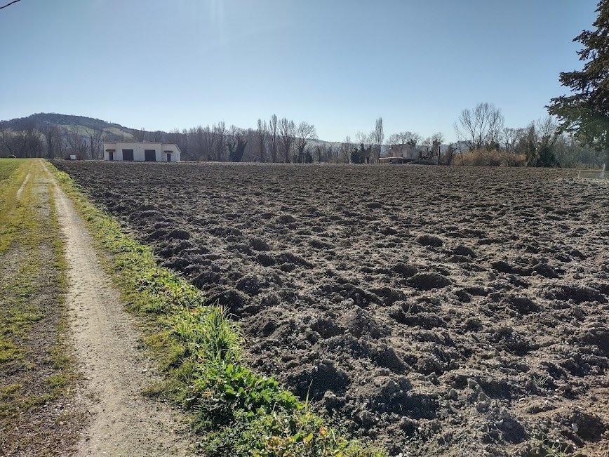 IMG_20220209_104558710_HDR.jpg - Agricultural land Jesi - photo 2
