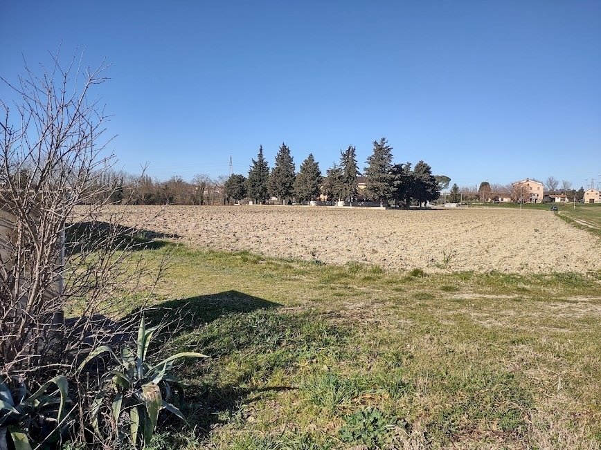 IMG_20220209_104737847_HDR.jpg - Agricultural land Jesi - photo 3