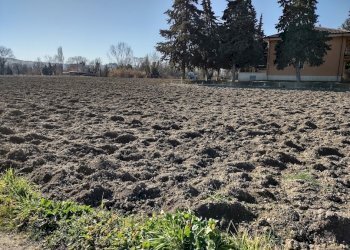 IMG_20220209_104552059_HDR.jpg - Agricultural land Jesi - photo 1