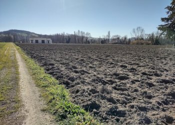 IMG_20220209_104558710_HDR.jpg - Agricultural land Jesi - photo 2