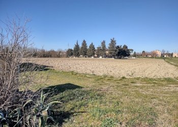 IMG_20220209_104737847_HDR.jpg - Agricultural land Jesi - photo 3