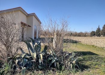 IMG_20220209_104740891_HDR.jpg - Agricultural land Jesi - photo 4