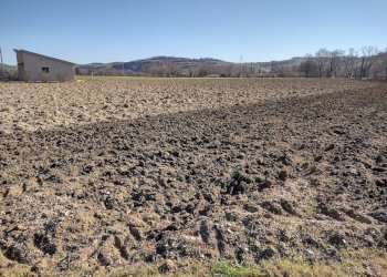 IMG_20220209_105038529_HDR.jpg - Agricultural land Jesi - photo 6