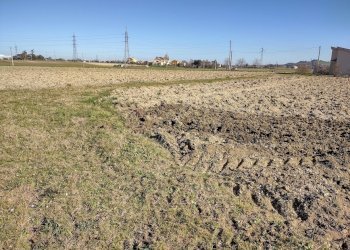IMG_20220209_105043328_HDR.jpg - Agricultural land Jesi - photo 7