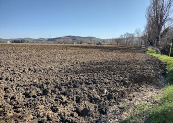 IMG_20220209_105810989_HDR.jpg - Agricultural land Jesi - photo 8