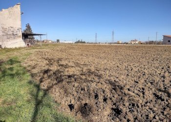 IMG_20220209_105820680_HDR.jpg - Agricultural land Jesi - photo 10