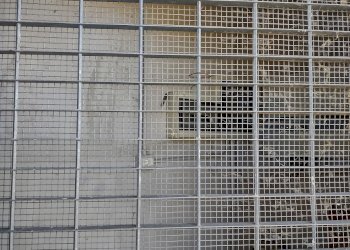 IMG_20220209_110926975_HDR.jpg - Agricultural land Jesi - photo 12