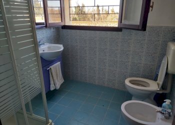 IMG_20220209_111204950_HDR.jpg - Agricultural land Jesi - photo 20