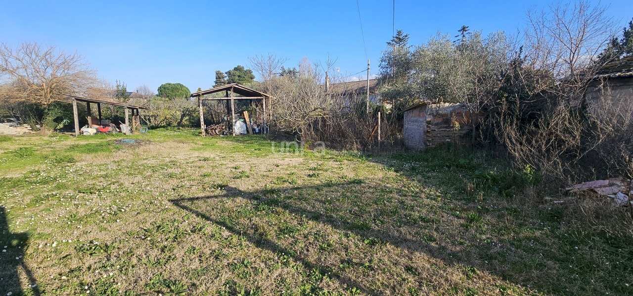 20260223_155922.jpg - Casa indipendente Via San Martino 7, Monsano - foto 3