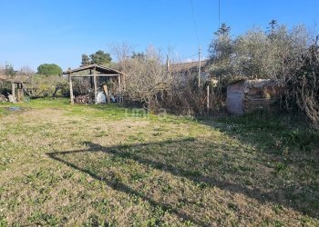 20260223_155922.jpg - Casa indipendente Via San Martino 7, Monsano - foto 3