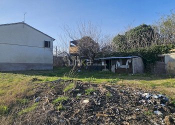 20260223_155958.jpg - Casa indipendente Via San Martino 7, Monsano - foto 4