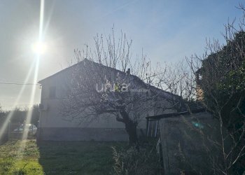 20260223_160053.jpg - Casa indipendente Via San Martino 7, Monsano - foto 5