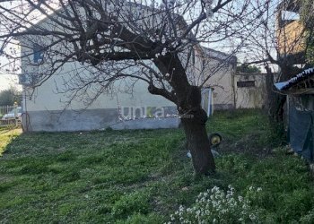 20260223_160115.jpg - Casa indipendente Via San Martino 7, Monsano - foto 6