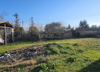 20260223_160124.jpg - Casa indipendente Via San Martino 7, Monsano - foto 9