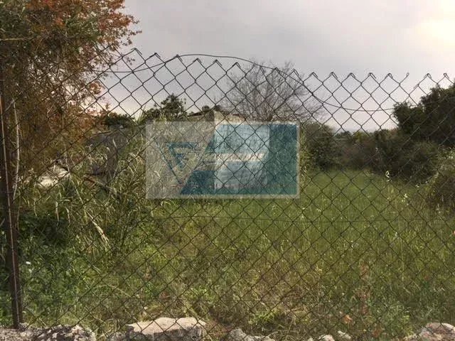 Terreno agricolo Traversa Mulino Marino, Siracusa - foto 2