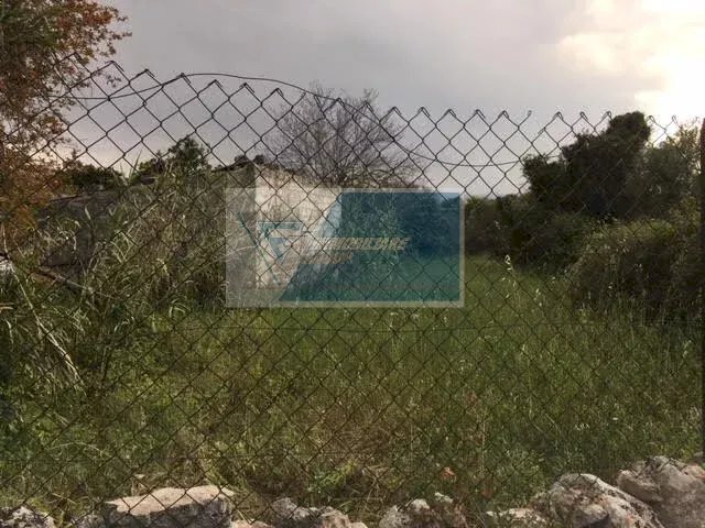 Terreno agricolo Traversa Mulino Marino, Siracusa - foto 3