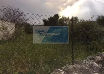 Terreno agricolo Traversa Mulino Marino, Siracusa - foto 1