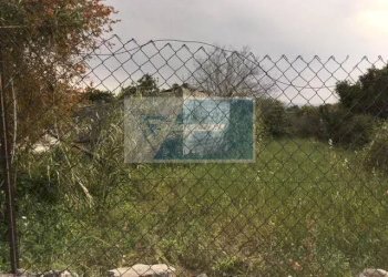 Terreno agricolo Traversa Mulino Marino, Siracusa - foto 2