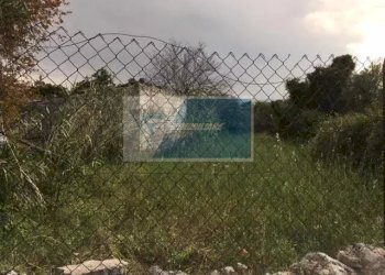 Terreno agricolo Traversa Mulino Marino, Siracusa - foto 3