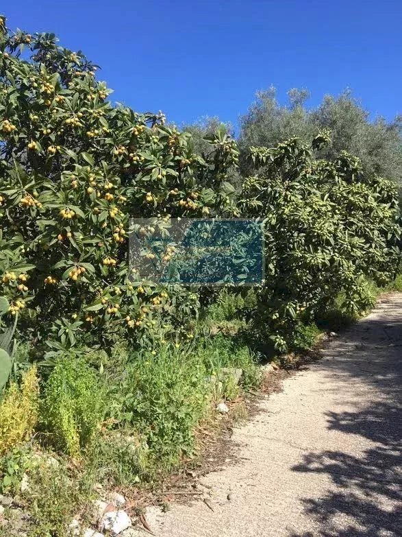 Terreno agricolo Traversa Mulino Marino, Siracusa - foto 1