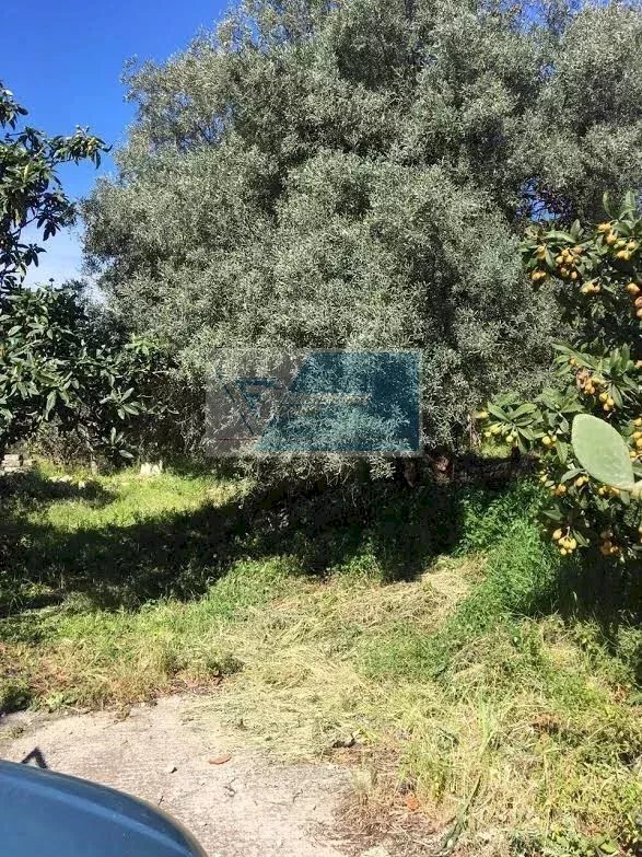 Terreno agricolo Traversa Mulino Marino, Siracusa - foto 3