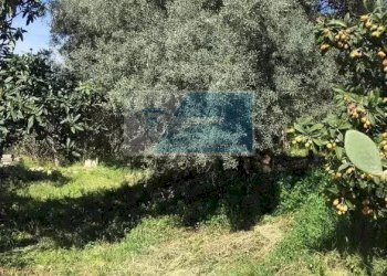 Terreno agricolo Traversa Mulino Marino, Siracusa - foto 3