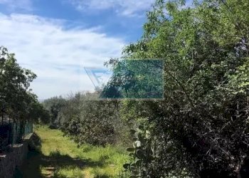 Terreno agricolo Traversa Mulino Marino, Siracusa - foto 4