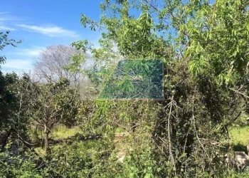 Terreno agricolo Traversa Mulino Marino, Siracusa - foto 5