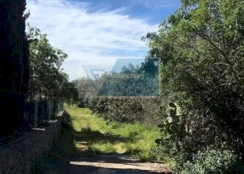 Terreno agricolo Traversa Mulino Marino, Siracusa - foto 6