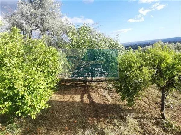 Agricultural land Traversa Vallone Carancino, Siracusa - photo 2