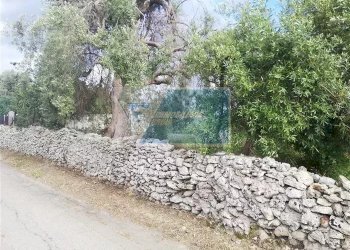 Terreno agricolo Traversa Vallone Carancino, Siracusa - foto 1