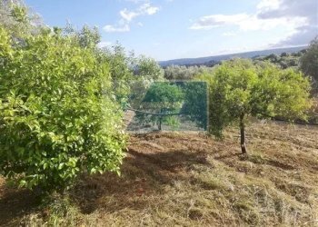 Terreno agricolo Traversa Vallone Carancino, Siracusa - foto 3
