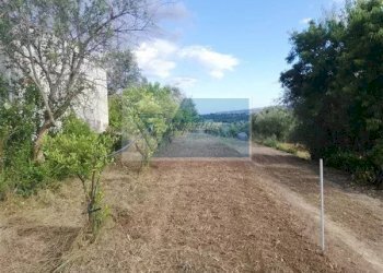 Terreno agricolo Traversa Vallone Carancino, Siracusa - foto 4