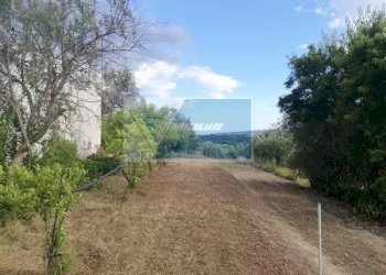 Terreno agricolo Traversa Vallone Carancino, Siracusa - foto 5