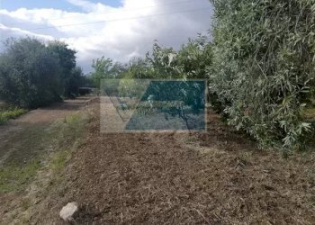 Terreno agricolo Traversa Vallone Carancino, Siracusa - foto 6