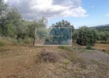 Terreno agricolo Traversa Vallone Carancino, Siracusa - foto 8
