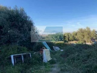 Terreno agricolo Via Attilio Regolo, Siracusa - foto 2