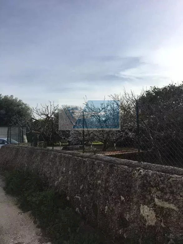 Terreno agricolo Contrada Carancino, Siracusa - foto 2