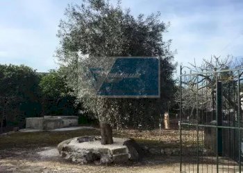 Terreno agricolo Contrada Carancino, Siracusa - foto 5