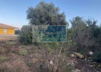 Agricultural land Via Brancati, Melilli - photo 3