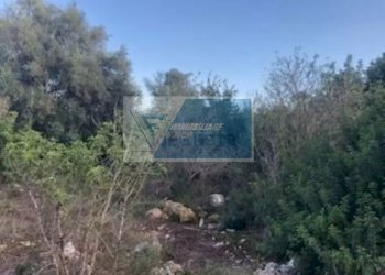 Agricultural land Via Brancati, Melilli - photo 4