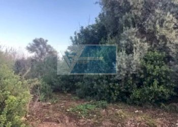 Agricultural land Via Brancati, Melilli - photo 5