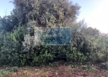 Agricultural land Via Brancati, Melilli - photo 7