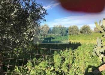 Agricultural land C.da Spalla, Melilli - photo 5