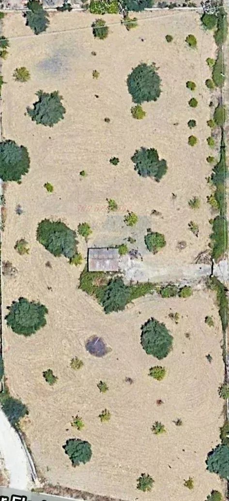 terreno - Terreno agricolo via agamennone, Siracusa - foto 3