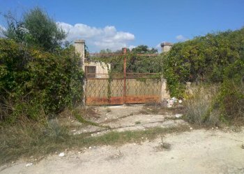 Terreno agricolo via agamennone, Siracusa - foto 8