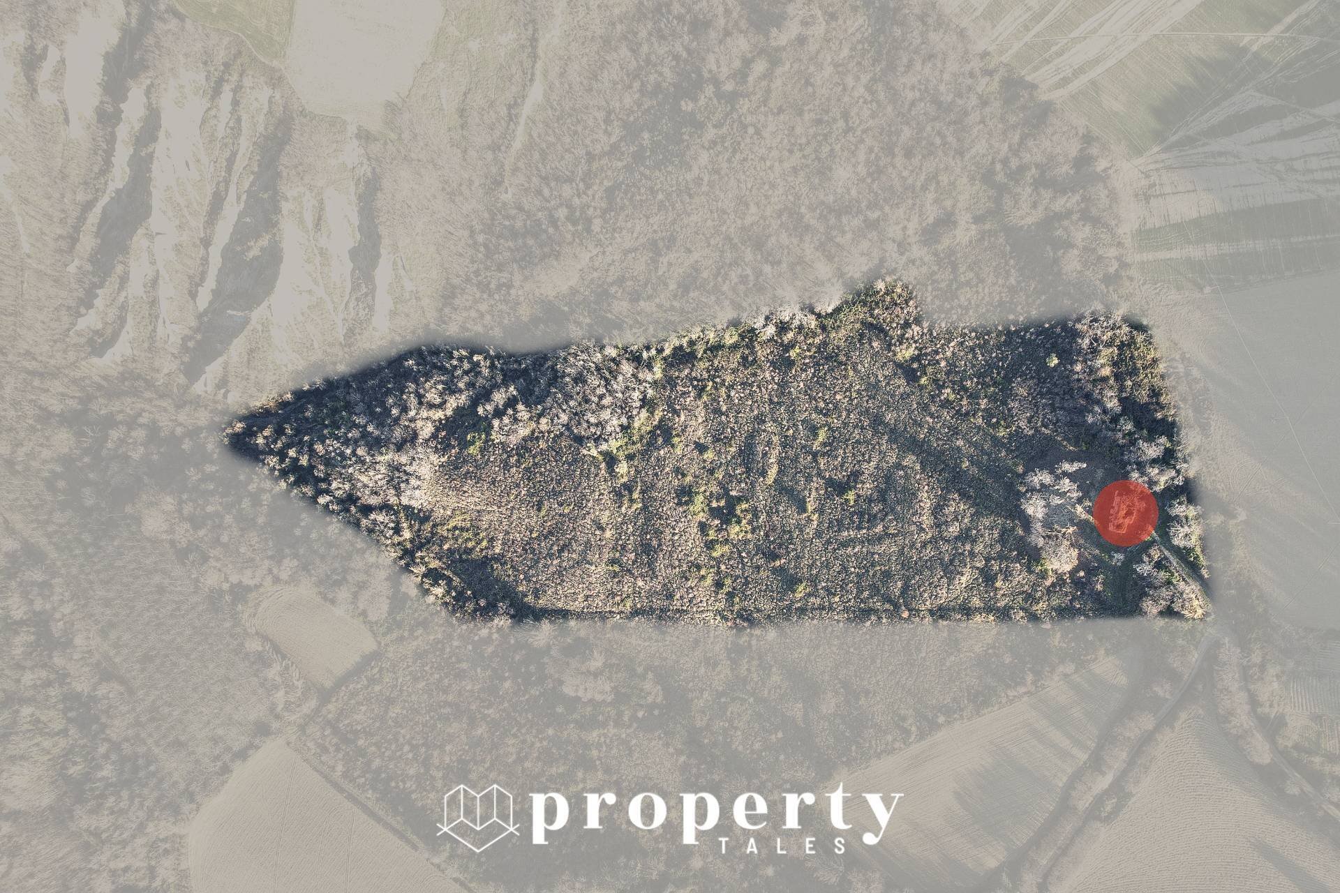 Rustic Contrada Ciapelle, Ripatransone - photo 3